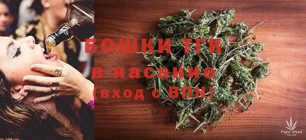 амф Майский