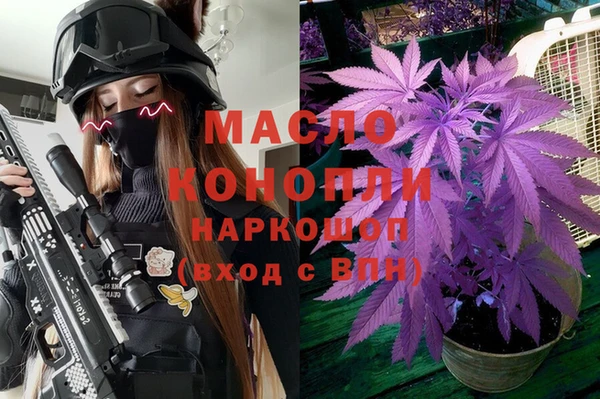 скорость Ладушкин