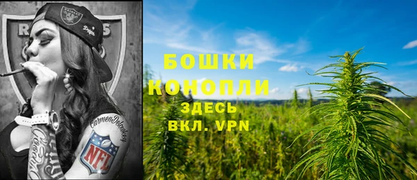 амф Майский