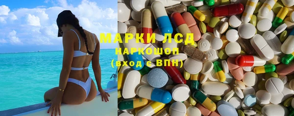 гидра Бердск