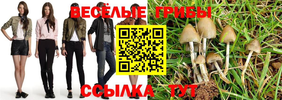 Липецк  Галлюциногенные грибы ЛСД  купить   Вход с VPN 