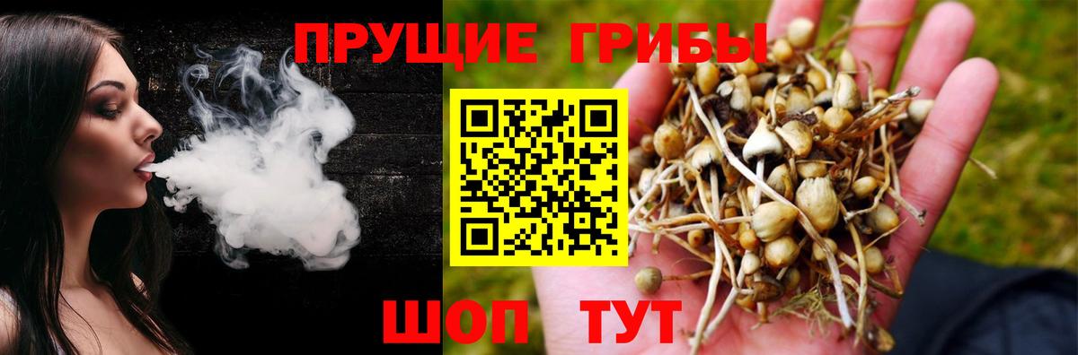 Псилоцибиновые грибы прущие грибы  Липецк 